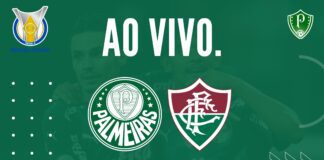 Palmeiras x Fluminense onde assistir ao jogo ao vivo