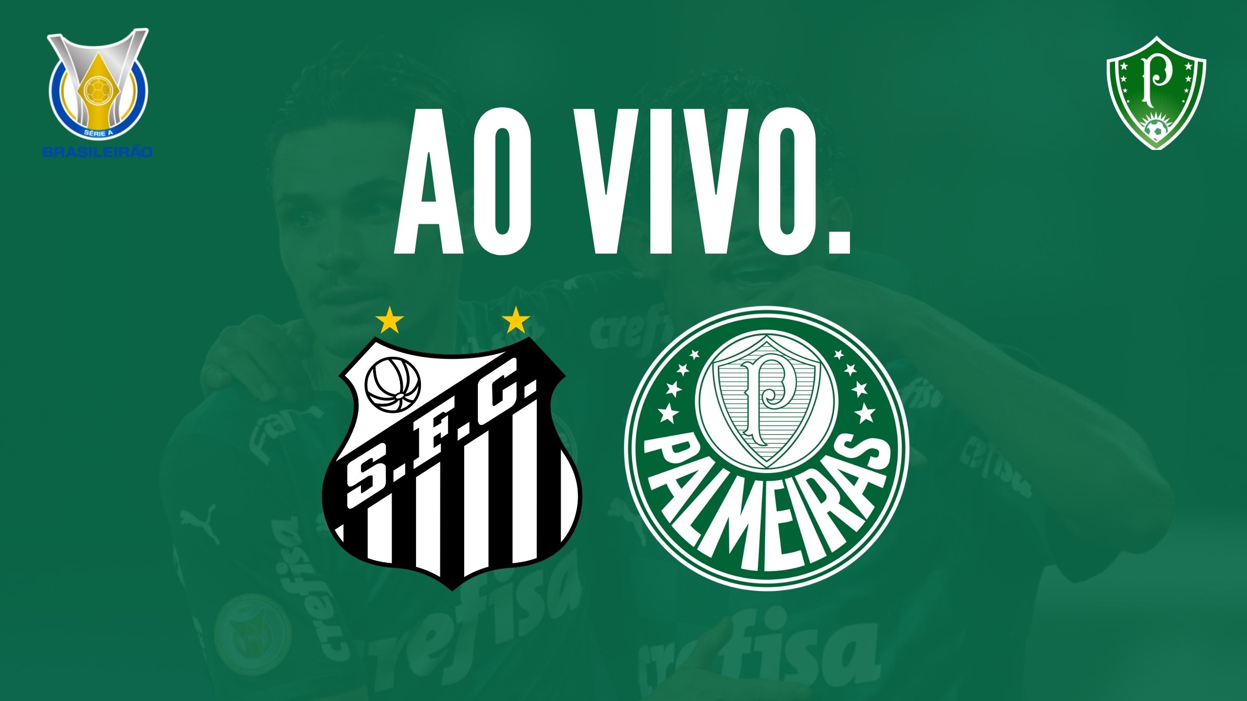 Palmeiras x Santos: onde assistir ao vivo, horário e informações