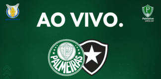 Palmeiras x Botafogo veja como assistir ao jogo ao vivo