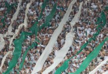 A torcida da SE Palmeiras, em jogo contra a equipe do São Paulo FC, durante partida válida pela trigésima terceira rodada, do Campeonato Brasileiro, Série A, na arena Allianz Parque. (Foto: Cesar Greco)