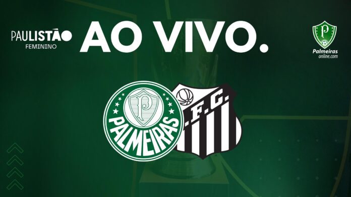 Palmeiras x Santos: onde assistir ao vivo e online, horário, escalação e  mais do Brasileirão