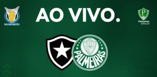 Botafogo x Palmeiras Veja como assistir ao jogo ao vivo