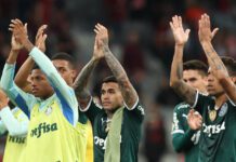Jogadores da SE Palmeiras comemorando a vitória sobre o Athletico-PR, pela Série A do Campeonato Brasileiro, na Arena da Baixada. (Foto: César Greco)