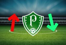 Mercado da Bola Palmeiras Online
