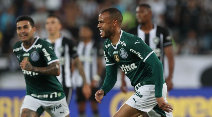 O jogador Mayke, da SE Palmeiras, comemora seu gol contra a equipe do Botafogo FR, durante partida válida pela vigésima nona rodada, do Campeonato Brasileiro, Série A, no Estádio Engenhão. (Foto: Cesar Greco)