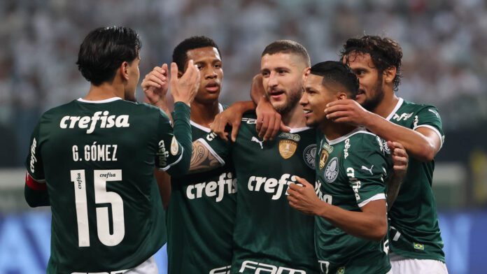 Mais de 30% dos jogadores do Palmeiras no Brasileirão são 'Crias da  Academia' - Fotos - R7 Campeonato Brasileiro Série A