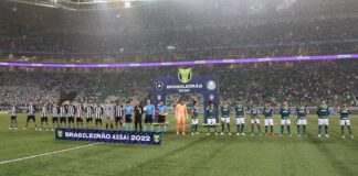 O time da SE Palmeiras, em jogo contra a equipe do Botafogo FR, durante partida válida pela décima rodada, do Campeonato Brasileiro, Série A, na arena Allianz Parque. (Foto: Cesar Greco)