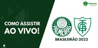 Como assistir Palmeiras x América-MG pelo Brasileirão 2022
