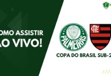 Como assistir Palmeiras x Flamengo pela Copa do Brasil sub-20