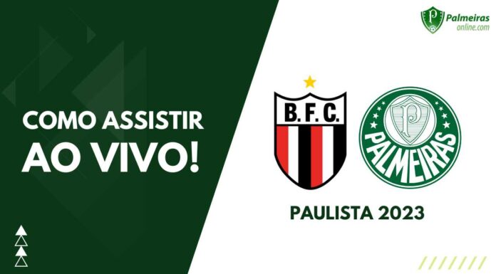 Como assistir Botafogo-SP x Palmeiras pelo Paulista