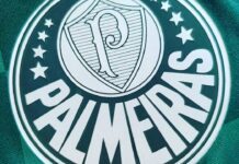 Símbolo do Palmeiras, o maior Campeão do Brasil