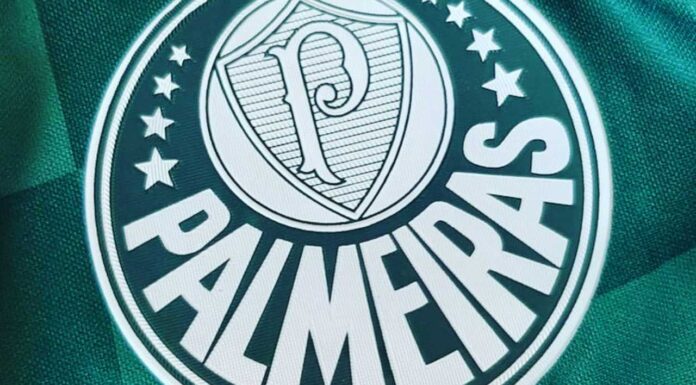 Símbolo do Palmeiras, o maior Campeão do Brasil
