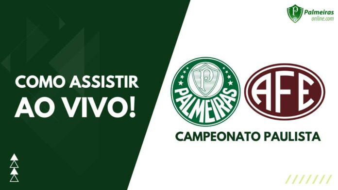 Com 'metade' da temporada 2023 jogada, Palmeiras tem números parecidos com  os do mesmo período em 2022 - Lance!