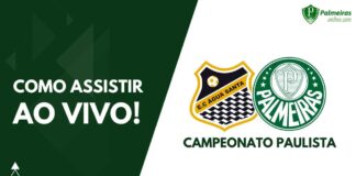 Como assistir Água Santa x Palmeiras ao vivo pelo Campeonato Paulista