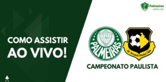 Como assistir Palmeiras x São Bernardo ao vivo pelo Campeonato Paulista