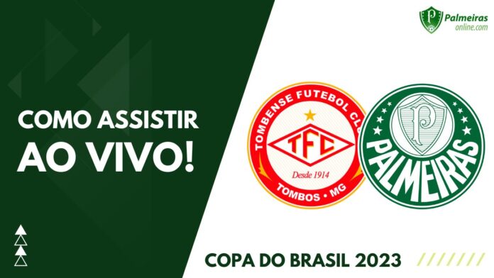 Final da Libertadores: como assistir Palmeiras x Flamengo online  gratuitamente - TV História