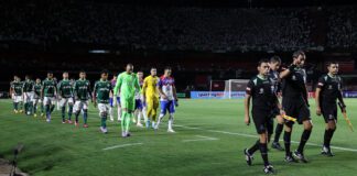 O time da SE Palmeiras, em jogo contra a equipe do Cerro Porteño, durante partida válida pela fase de grupos da Copa Libertadores, no Estádio do Morumbi. (Foto: César Greco)