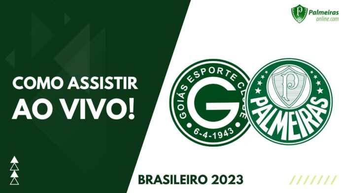 Onde assistir ao vivo o jogo do Palmeiras hoje, domingo, 6; veja