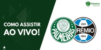 Como assistir Palmeiras x Grêmio pelo Campeonato Brasileiro 2023
