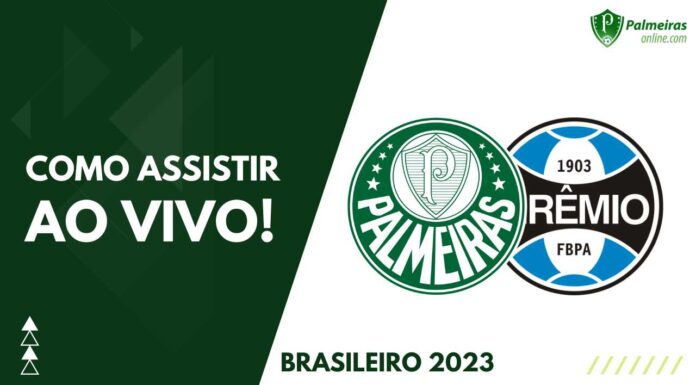 Como assistir Palmeiras x Grêmio pelo Campeonato Brasileiro 2023