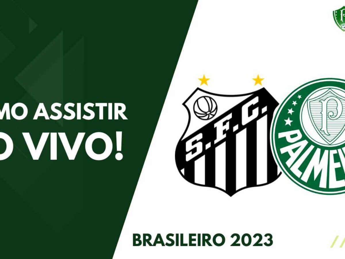 Palmeiras x Santos ao vivo e online; saiba horário e onde assistir ao  Brasileirão · Notícias da TV