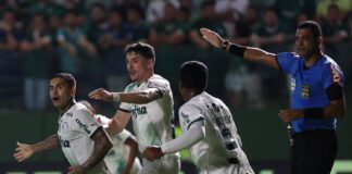 O jogador Dudu, da SE Palmeiras, comemora seu gol contra a equipe do Goiás, durante partida válida pelo Campeonato Brasileiro, no Estádio Hailé Pinheiro. (Foto: César Greco)
