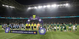 O time da SE Palmeiras, em jogo contra a equipe do Grêmio, durante partida válida pelo Campeonato Brasileiro, no Allianz Parque. (Foto: César Greco)