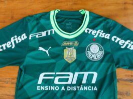 Camisa-do-Palmeiras-tem-mudanca-para-duelo-diante-do-Botafogo-RJ
