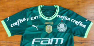 Camisa-do-Palmeiras-tem-mudanca-para-duelo-diante-do-Botafogo-RJ