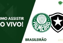 Como assistir Palmeiras x Botafogo pelo Brasileirão 2023