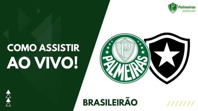 Botafogo x Palmeiras: onde assistir ao vivo ao jogo do Brasileirão