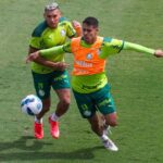Lucas Freitas e Rafael Navarro, do Palmeiras