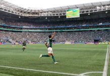 Comemoração de gol do Palmeiras no Allianz Parque