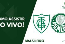 Como assistir América-MG x Palmeiras pelo Brasileirão 2023