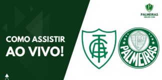 Como assistir América-MG x Palmeiras pelo Brasileirão 2023