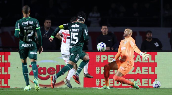 O goleiro Weverton, da SE Palmeiras, em jogo contra a equipe do São Paulo, na partida de ida das quartas de final da Copa do Brasil, no Morumbi. (Foto: César Greco)