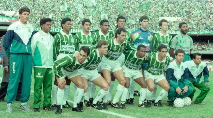 Time do Palmeiras de 1993