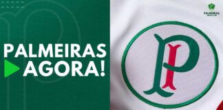 Palmeiras Online no LinkedIn: #palmeiras #palmeirasonline #futebol