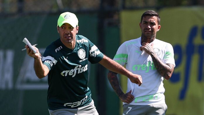 Palmeiras – Agora é futebol