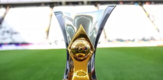 Taça do Brasileirão 2022. (Foto: Reprodução)