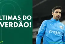 Abel Ferreira, técnico do Palmeiras