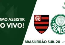 Como assistir Flamengo x Palmeiras pelo Brasileirão Sub-20
