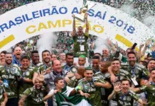 Palmeiras, Campeão Brasileiro 2018