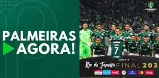Palmeiras em jogo da Libertadores 2023