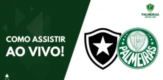 Como assistir Botafogo x Palmeiras pelo Brasileirão 2023