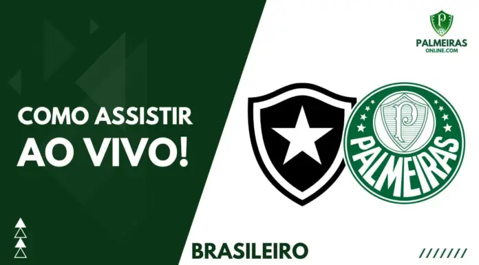 Como assistir Botafogo x Palmeiras pelo Brasileirão 2023