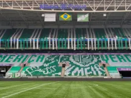 Mosaico da torcida do Palmeiras