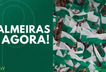 Torcida do Palmeiras faz festa no Allianz Parque