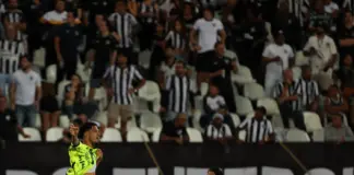O jogador Murilo, da SE Palmeiras, comemora seu gol contra a equipe do Botafogo FR, durante partida válida pela trigésima primeira rodada, do Campeonato Brasileiro, Série A, no Estádio Nilton Santos. (Foto: Cesar Greco/Palmeiras/by Canon)