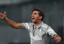 O técnico Abel Ferreira, da SE Palmeiras, em jogo contra a equipe do Botafogo FR, durante partida válida pela trigésima primeira rodada, do Campeonato Brasileiro, Série A, no Estádio Nilton Santos. (Foto: Cesar Greco/Palmeiras/by Canon)